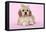 Cockerpoo Puppy (7 Weeks Old) with Bandaged-null-Framed Premier Image Canvas