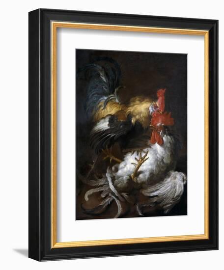 Cockfight-Giovanni (Abate Cassana) Agostino Cassana-Framed Art Print