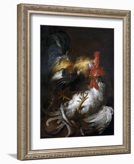 Cockfight-Giovanni (Abate Cassana) Agostino Cassana-Framed Art Print