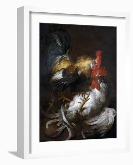 Cockfight-Giovanni (Abate Cassana) Agostino Cassana-Framed Art Print