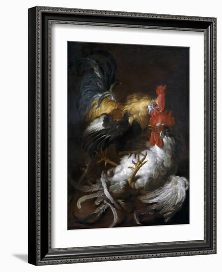 Cockfight-Giovanni (Abate Cassana) Agostino Cassana-Framed Art Print