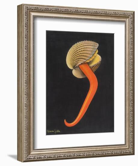 Cockle-Philip Henry Gosse-Framed Giclee Print