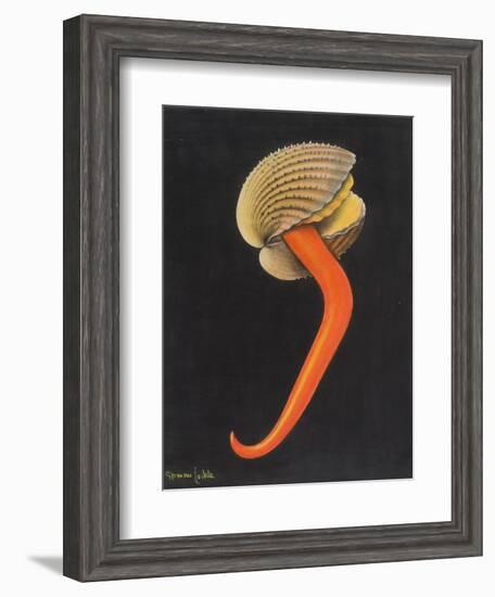 Cockle-Philip Henry Gosse-Framed Giclee Print