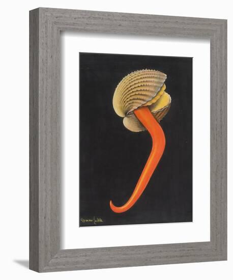 Cockle-Philip Henry Gosse-Framed Giclee Print