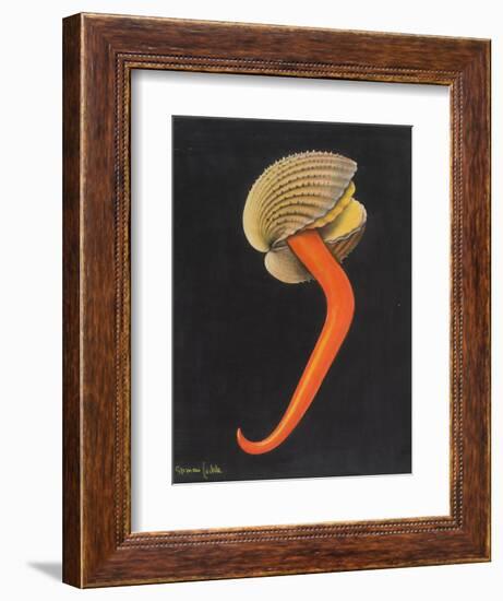 Cockle-Philip Henry Gosse-Framed Giclee Print