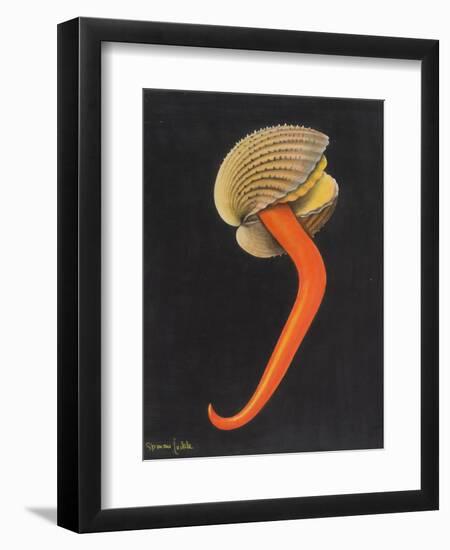 Cockle-Philip Henry Gosse-Framed Giclee Print