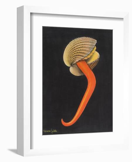 Cockle-Philip Henry Gosse-Framed Giclee Print