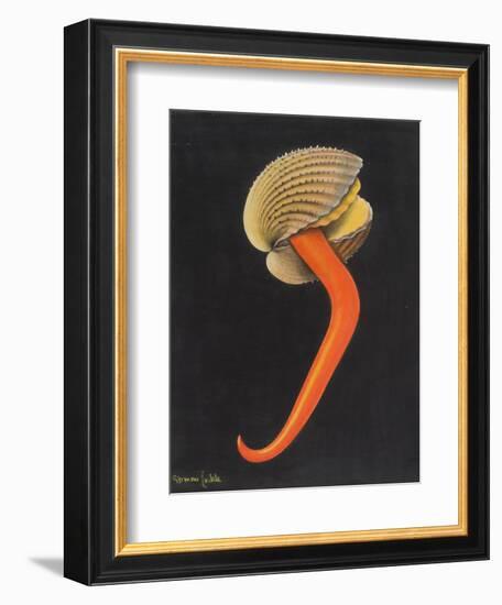 Cockle-Philip Henry Gosse-Framed Giclee Print