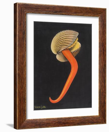 Cockle-Philip Henry Gosse-Framed Giclee Print