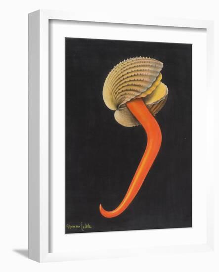 Cockle-Philip Henry Gosse-Framed Giclee Print