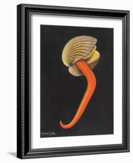 Cockle-Philip Henry Gosse-Framed Giclee Print