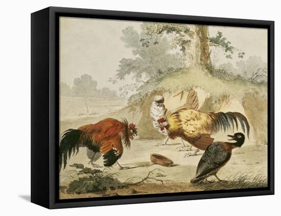 Cocks Fighting-Melchior de Hondecoeter-Framed Premier Image Canvas