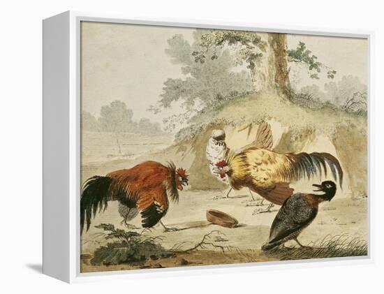 Cocks Fighting-Melchior de Hondecoeter-Framed Premier Image Canvas