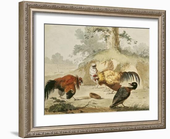 Cocks Fighting-Melchior de Hondecoeter-Framed Giclee Print