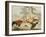 Cocks Fighting-Melchior de Hondecoeter-Framed Giclee Print