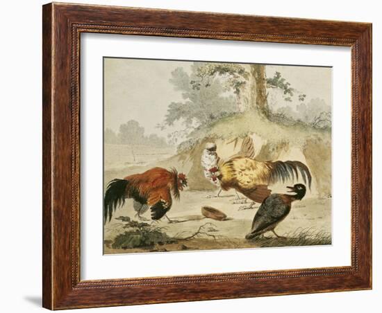 Cocks Fighting-Melchior de Hondecoeter-Framed Giclee Print