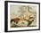 Cocks Fighting-Melchior de Hondecoeter-Framed Giclee Print