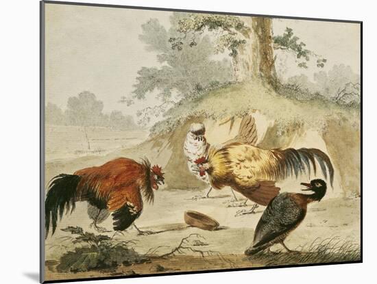Cocks Fighting-Melchior de Hondecoeter-Mounted Giclee Print