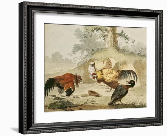 Cocks Fighting-Melchior de Hondecoeter-Framed Giclee Print