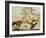 Cocks Fighting-Melchior de Hondecoeter-Framed Giclee Print