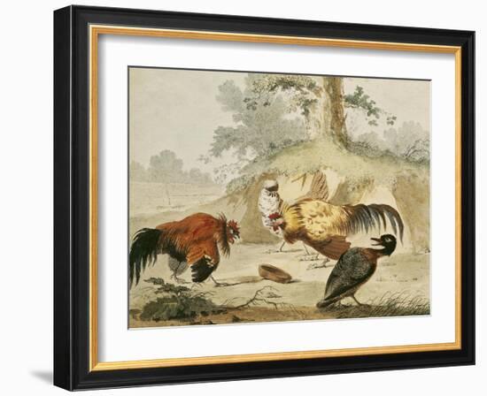 Cocks Fighting-Melchior de Hondecoeter-Framed Giclee Print