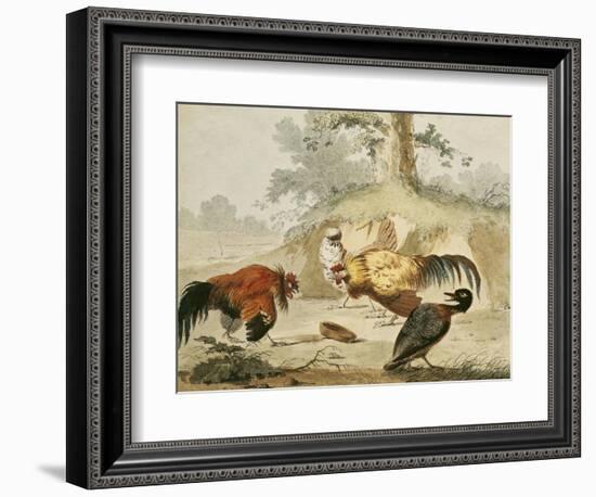 Cocks Fighting-Melchior de Hondecoeter-Framed Giclee Print