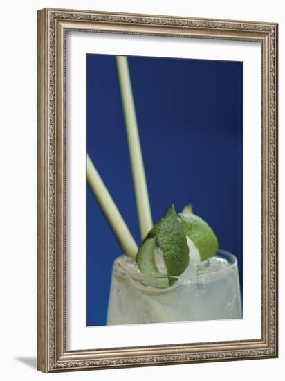 Cocktail Hour I-Erin Berzel-Framed Photographic Print