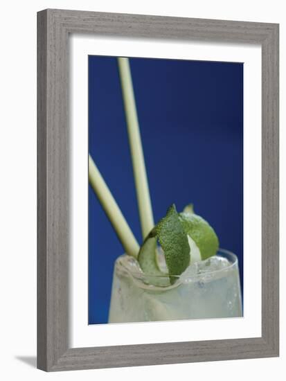 Cocktail Hour I-Erin Berzel-Framed Photographic Print