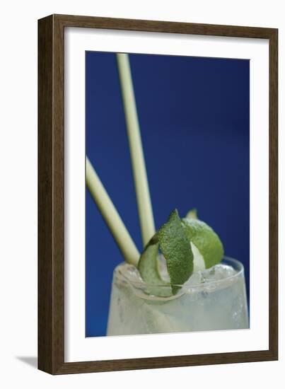 Cocktail Hour I-Erin Berzel-Framed Photographic Print