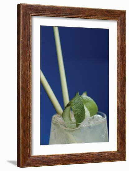 Cocktail Hour I-Erin Berzel-Framed Photographic Print