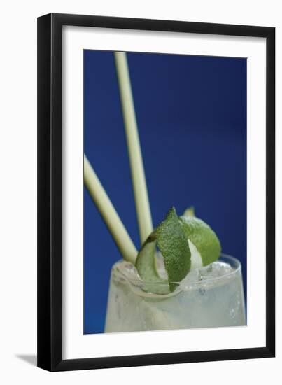 Cocktail Hour I-Erin Berzel-Framed Photographic Print