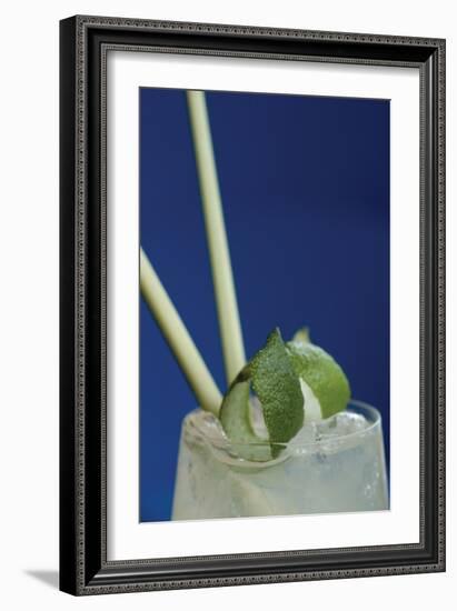 Cocktail Hour I-Erin Berzel-Framed Photographic Print