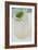 Cocktail Hour II-Erin Berzel-Framed Photographic Print