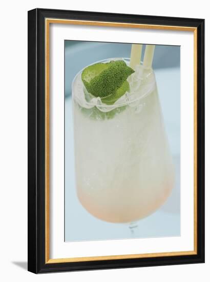 Cocktail Hour II-Erin Berzel-Framed Photographic Print