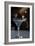 Cocktail Hour IX-Erin Berzel-Framed Photographic Print