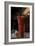 Cocktail Hour X-Erin Berzel-Framed Photographic Print