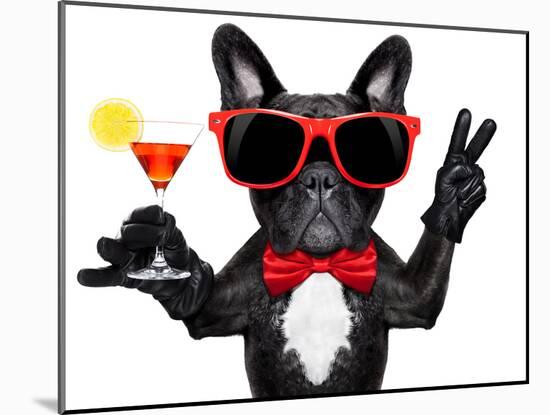 Cocktail Party Dog-Javier Brosch-Mounted Photographic Print