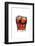 Cocktail-Fabio Petroni-Framed Photographic Print