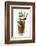 Cocktail-Fabio Petroni-Framed Photographic Print