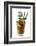 Cocktail-Fabio Petroni-Framed Photographic Print