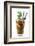 Cocktail-Fabio Petroni-Framed Photographic Print