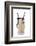 Cocktail-Fabio Petroni-Framed Photographic Print