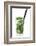 Cocktail-Fabio Petroni-Framed Photographic Print