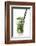 Cocktail-Fabio Petroni-Framed Photographic Print