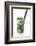 Cocktail-Fabio Petroni-Framed Photographic Print