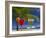 Cocktails by the Pool-Papadopoulos Sakis-Framed Photographic Print