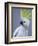 Cocky-Art Wolfe-Framed Photographic Print