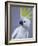 Cocky-Art Wolfe-Framed Photographic Print