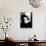 Coco Chanel-null-Mounted Photo displayed on a wall