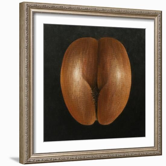 Coco De Mer, 2010-Lincoln Seligman-Framed Giclee Print